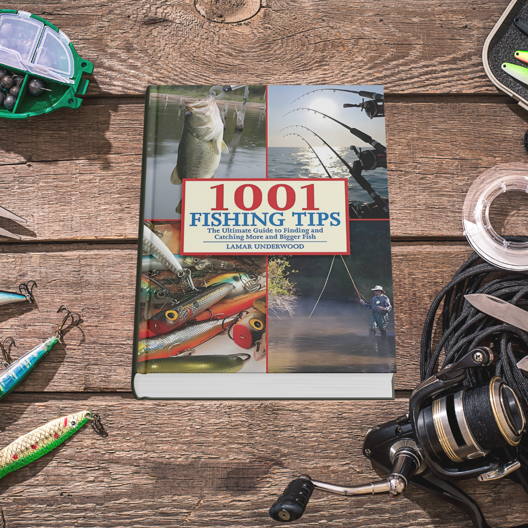 🎁FREE Fishing Guide